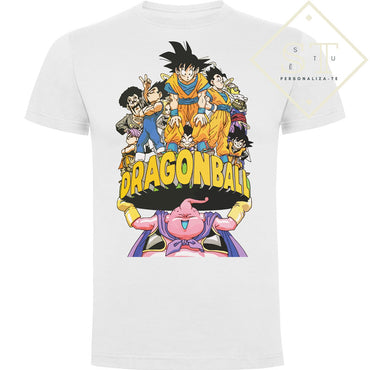 DBZ(47)
